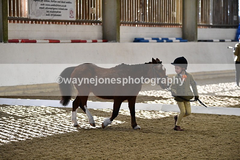 WJ5_3761 - Class 5 In Hand Veterans