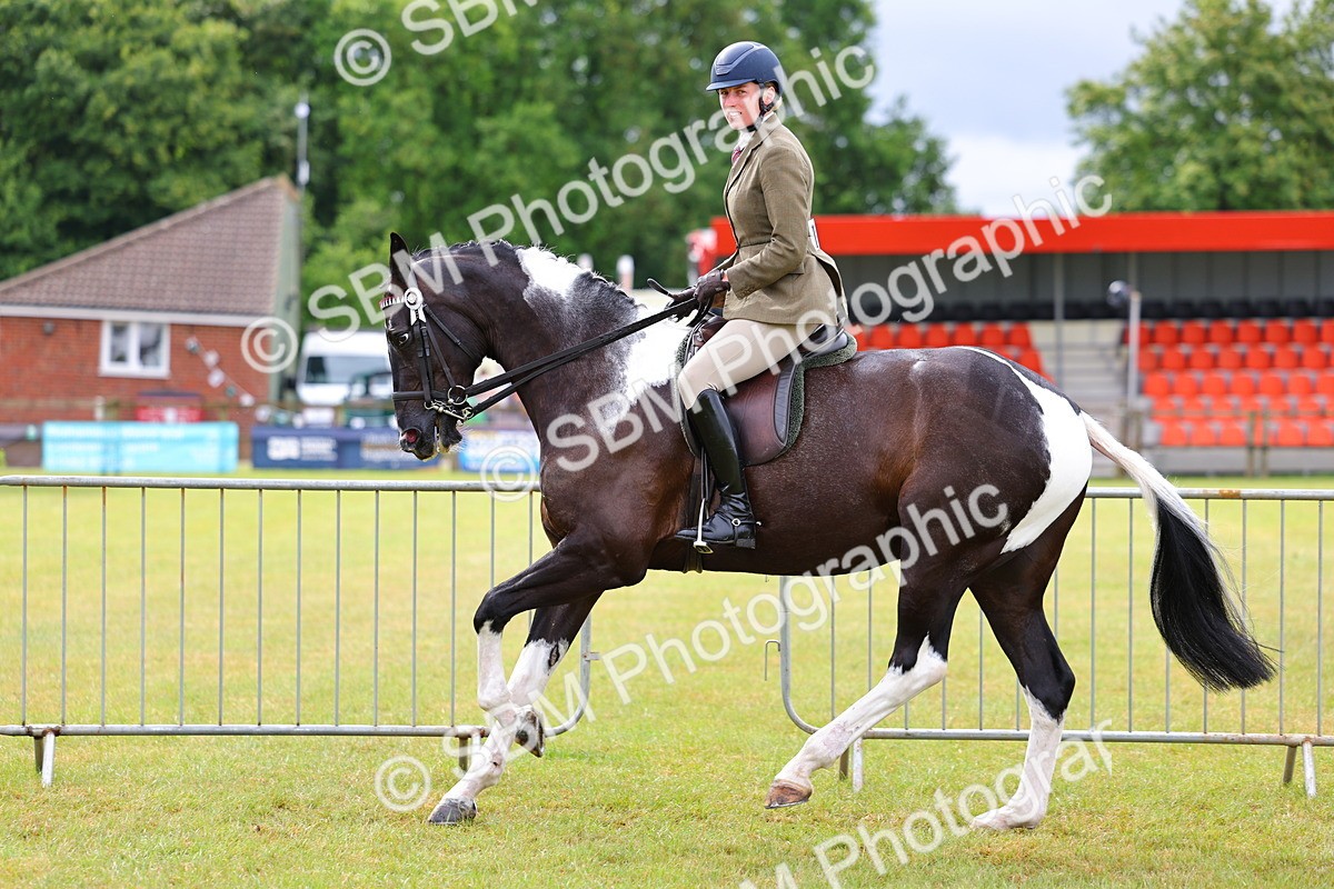 SBM_02519 - Class 9-11 Side Saddle including LIHS Rising Star Ladies Show Horse