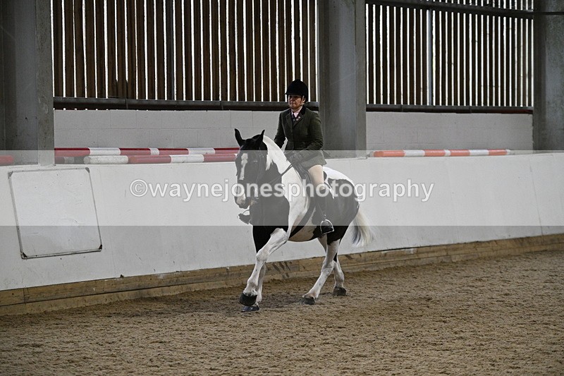 WJ7_4065 - Class 17 Ridden Cob