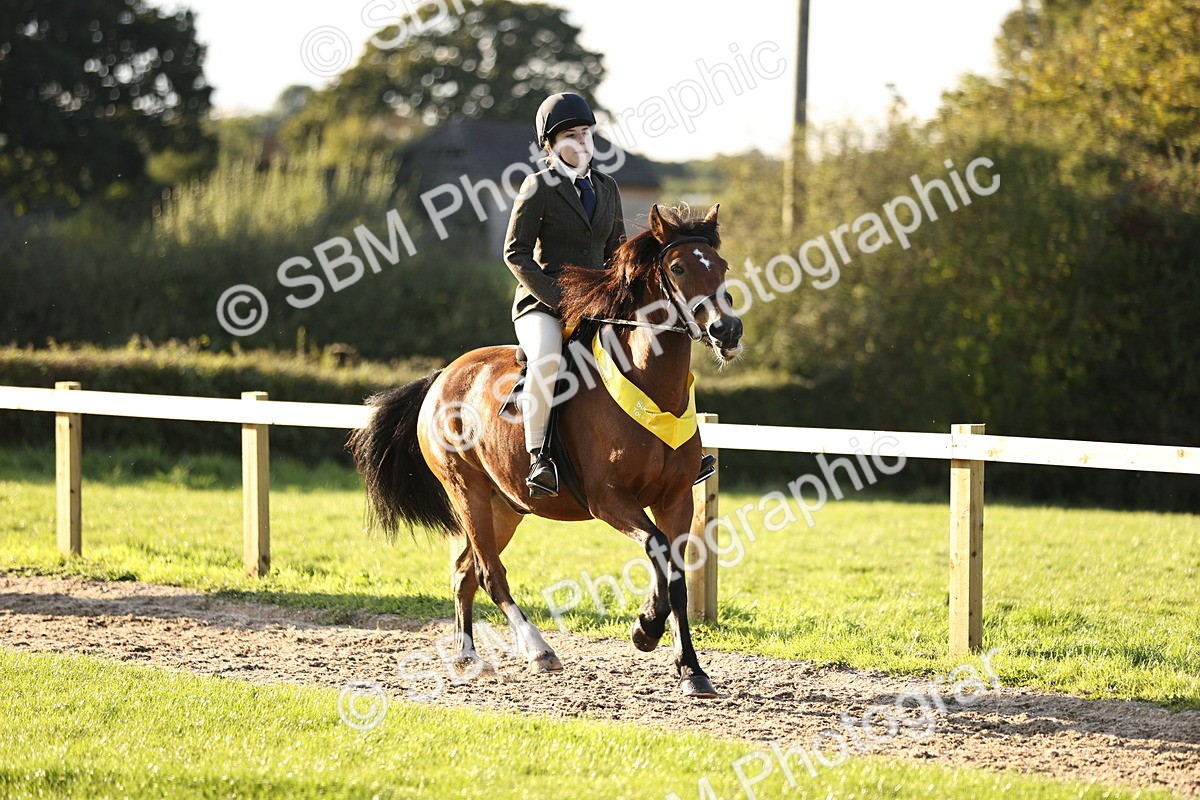 SBM_29661 - S7 - Novice & Newcomers Ridden Pony