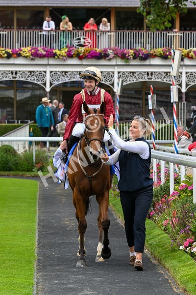 270724-Race 2-Rage Of Bamby-6873 - Race 2 2.40pm Sky Bet Dash Handicap