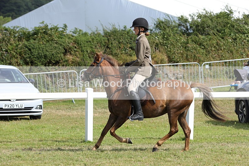 1X9A5730 - Class 40: NPS Welsh A & B