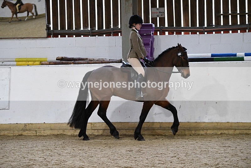 WJ5_7159 - Class 11 Ridden PC - RC Pony