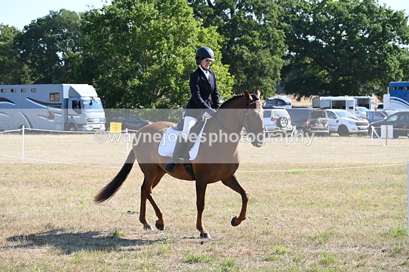 WJ6_7208 - Class 33 Rescue Pony