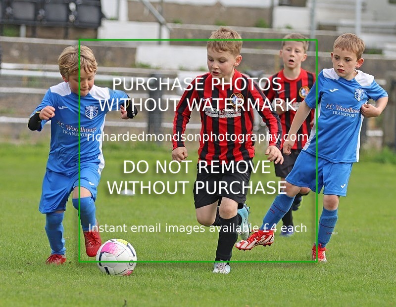 IMG_9471 - Wattsfield Under 7's