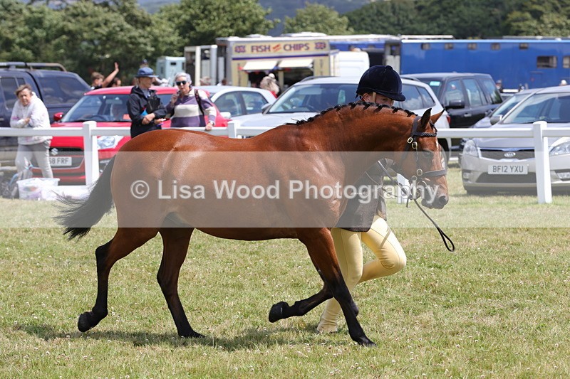 1X9A4811 - Class 35: Veteran In Hand