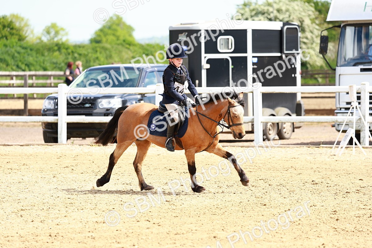 SBM_007876 - Class 3 - 60cm