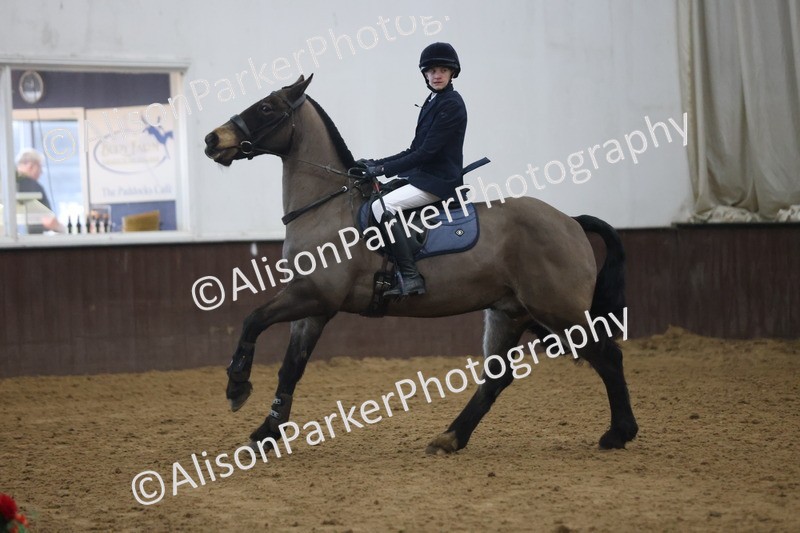 20260314-1607 - 70cm