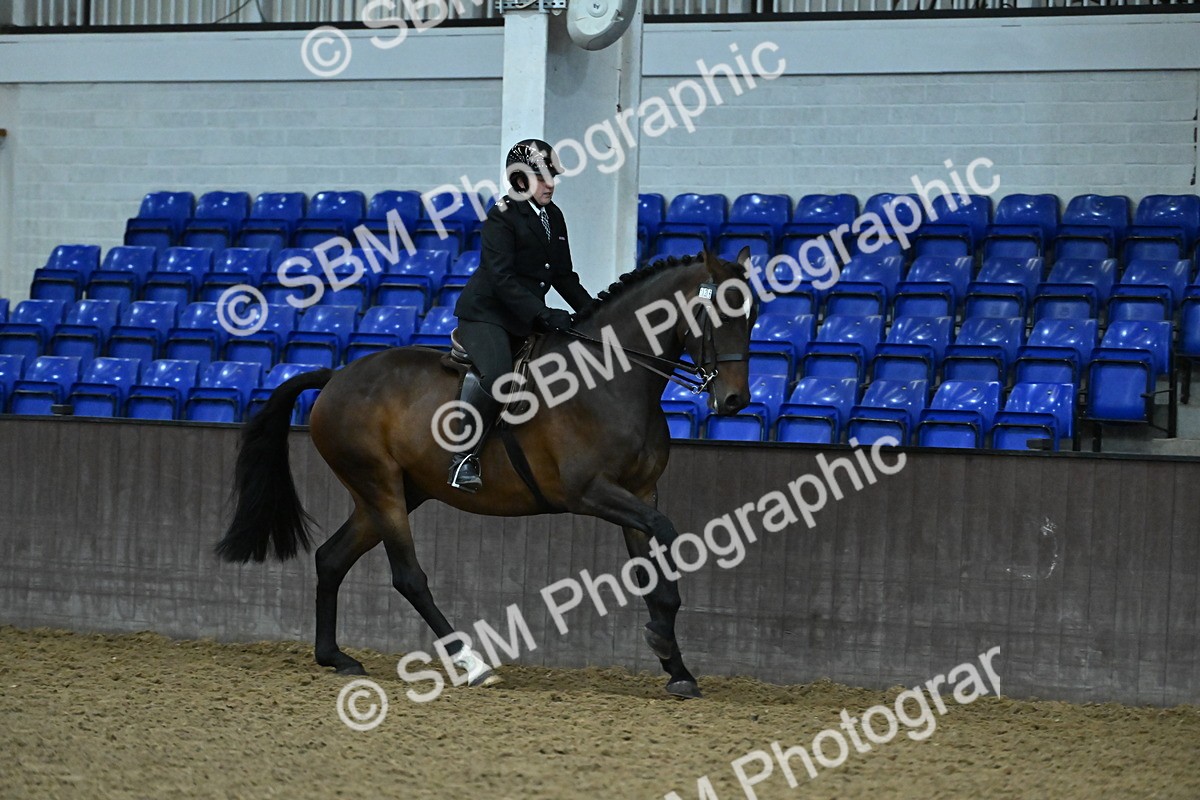 SBM_002082 - Class 23 - BSHA Ridden Show Hunter