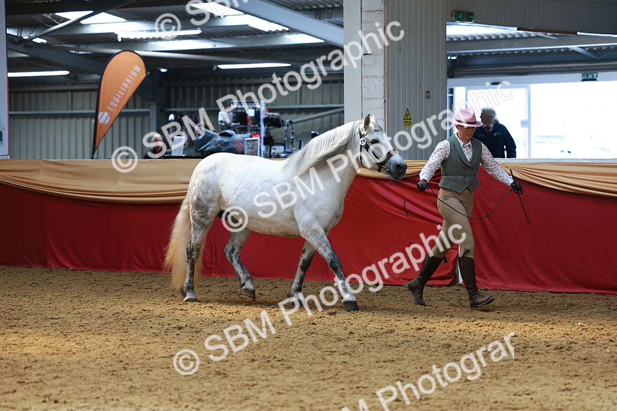 SBM_04102 - Class 9R - IH Pre-Vet
