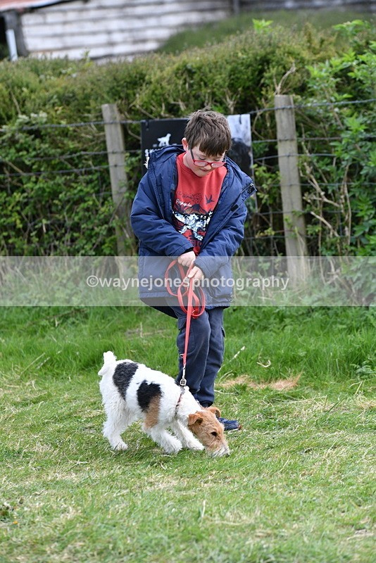 WJ5_0246 - Class 7 Best Terrier