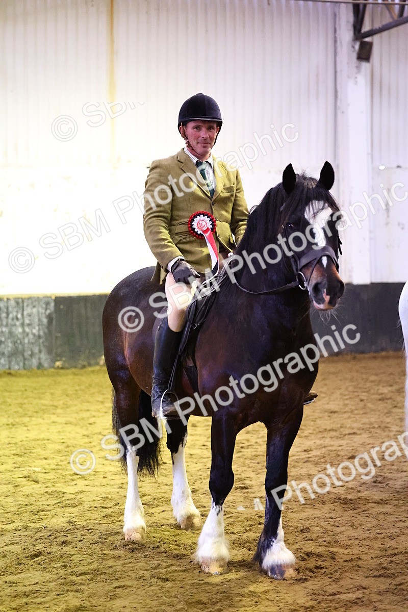 SBM_006639 - Class 43 - RIHS Qualifier Exceeding 43cms