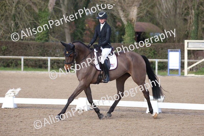 20260128-0370 - Class 4 - Novice 5