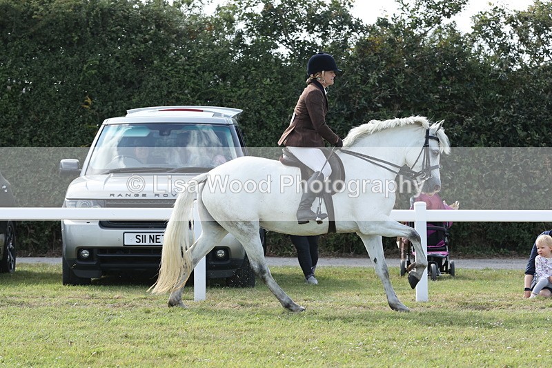 JPP_2992 - Class 20: Working Hunter 70cm