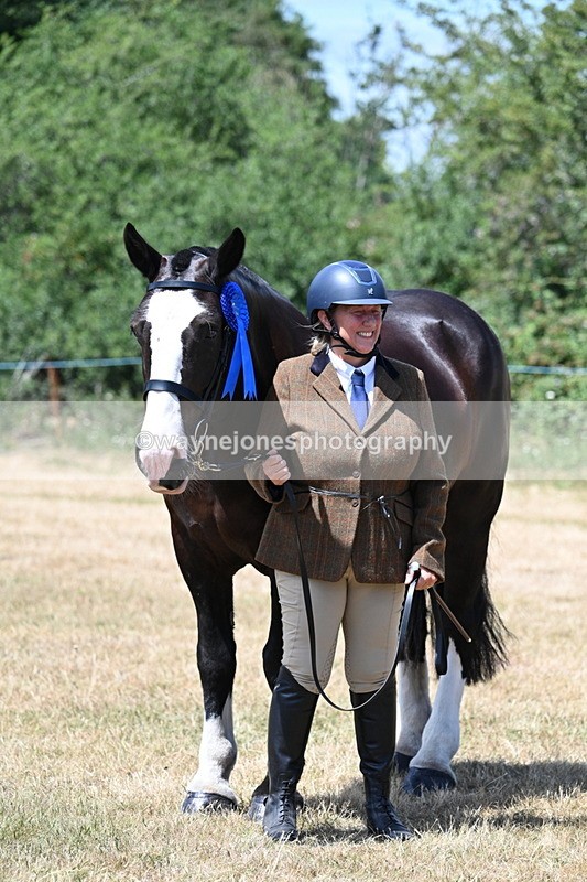 WJ7_2452 - Class 5a Most Handsome Gelding in hand (above 14.2hh)