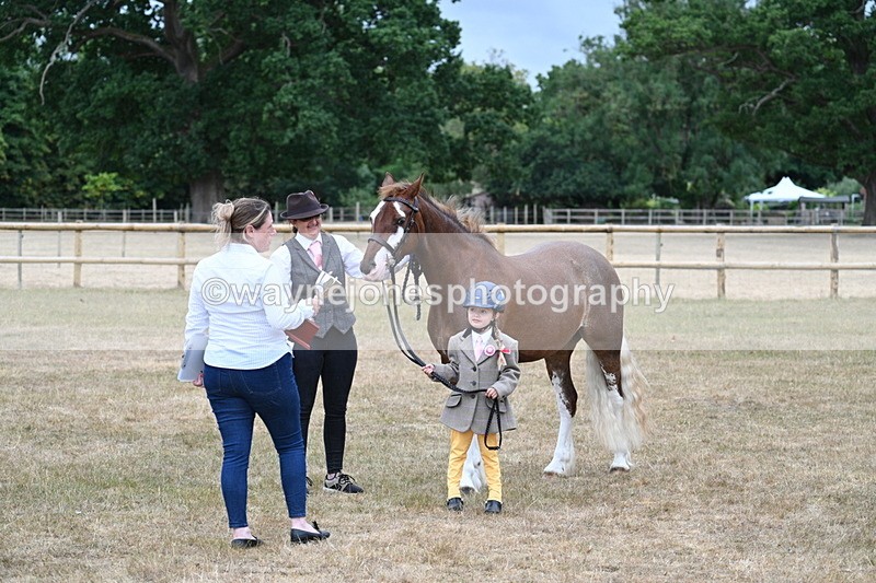 WJ7_9352 - Prettiest Mare Champs