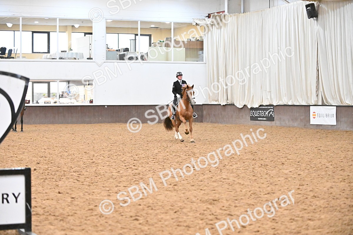 SBM_002957 - Class 37,38 - UKPSAF Performance Horse & Pony