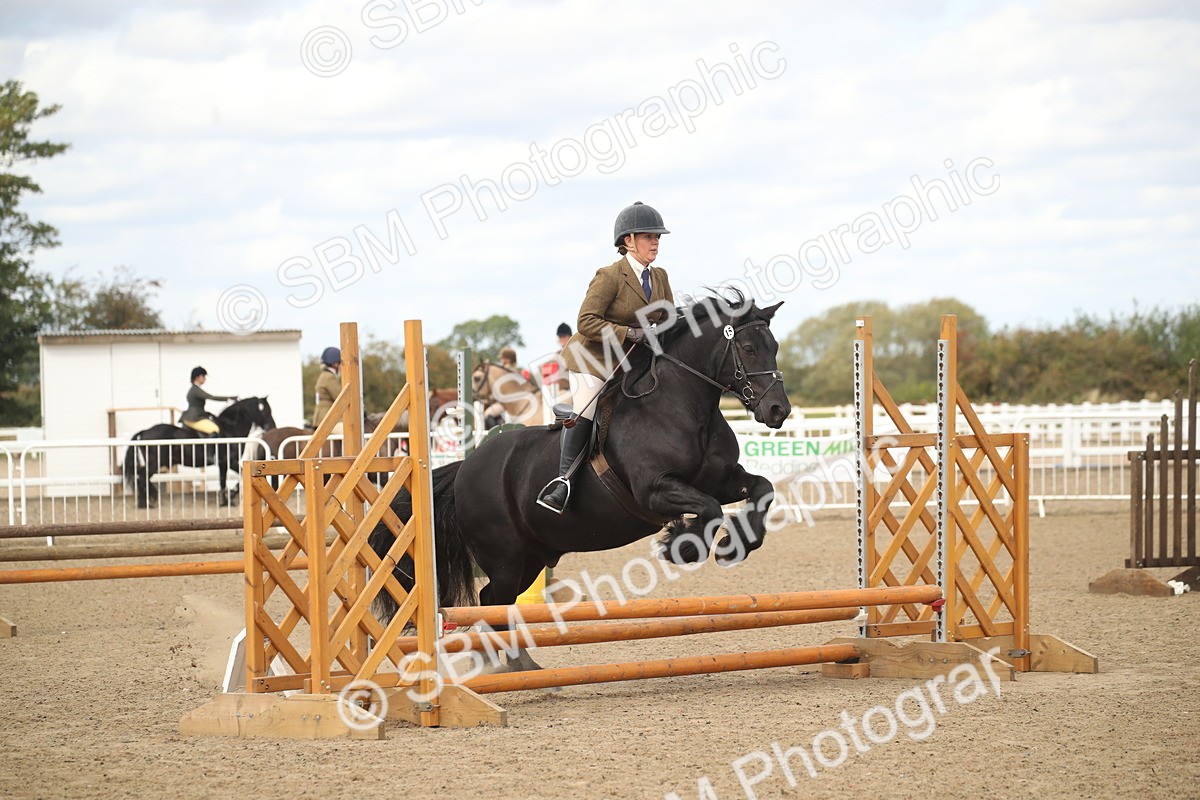 SBM_14542 - Class 505a - M&M Working Veteran - 50cm (15-19)