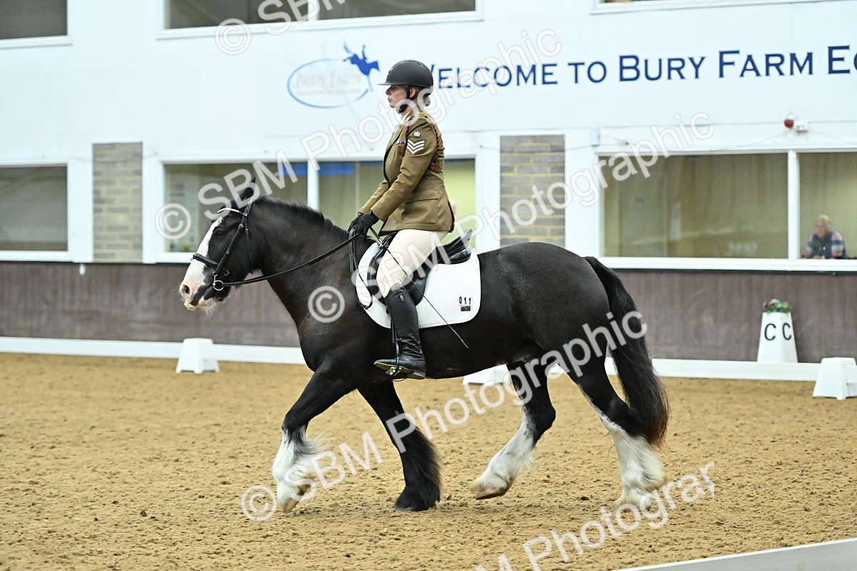 SBM_007465 - Class 81 - Novice 3