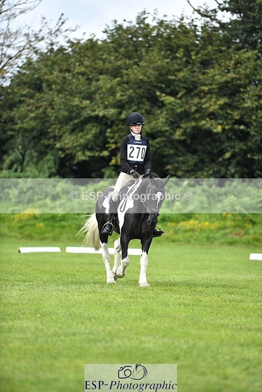 230826-111534-15801 - Sections C & D 10 to End