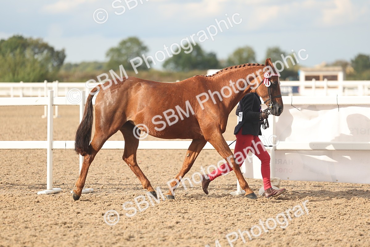 SBM_08617 - Class 29 - IH Veteran Pony