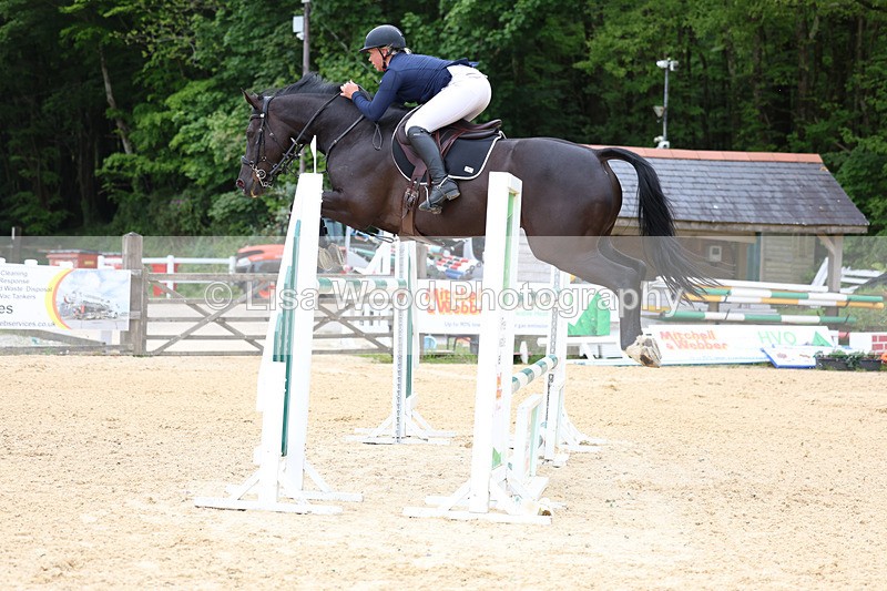 3E7A9574 - Class 9: Senior Foxhunter/1.20 open
