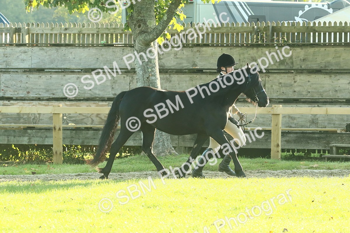 SBM_57395 - S37 - Starters In Hand Showing