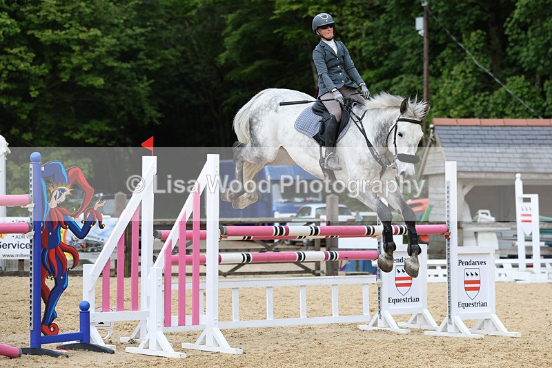 3E7A7540 - Class 8: Senior Foxhunter/1.20 open