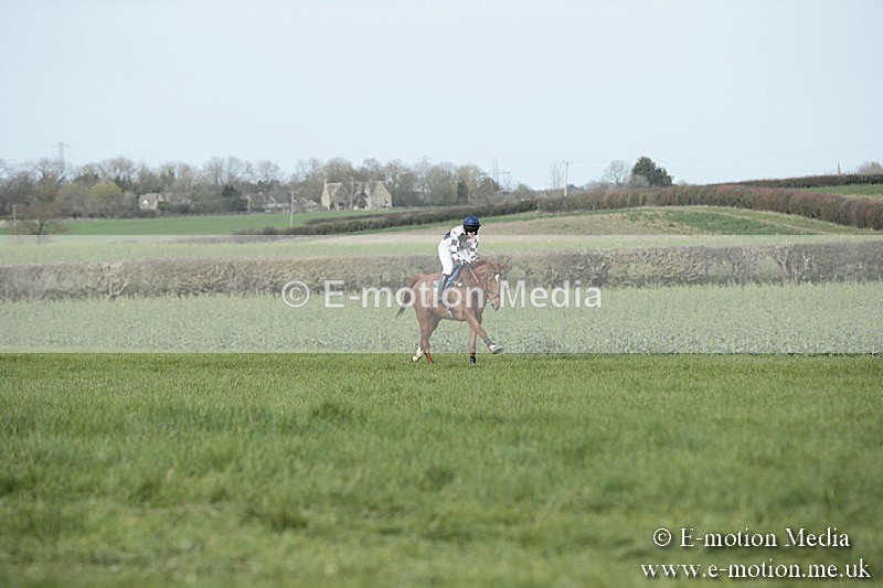 PtP 230319 356 - VWH Hunt Siddington Point-to-Point Racing 23/03/19