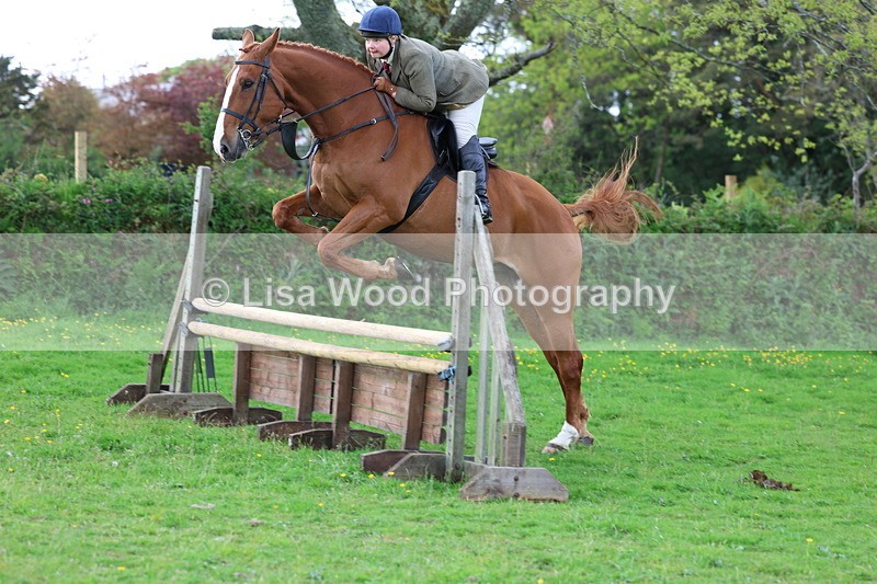 3E7A2541 - Classes 30 and 31: 80cm Working Hunter