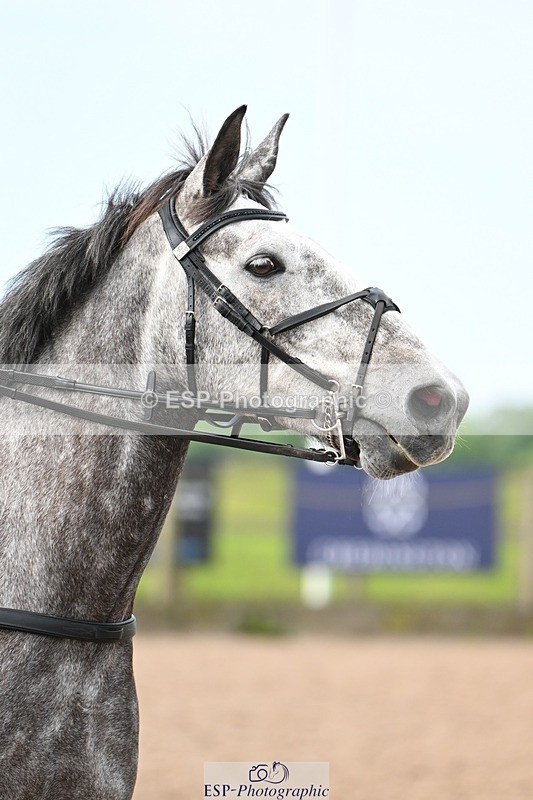250611-103511-00193 - Cls 1 Brit Novice & 90cm Open