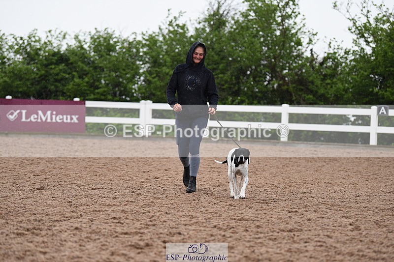 240518A-130038-01229 - Cls 6 Best Veteran