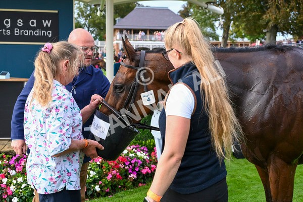 230923-Race 4-Aphelios-3248 - Race 4 3.45pm Jigsaw Sports Branding Handicap