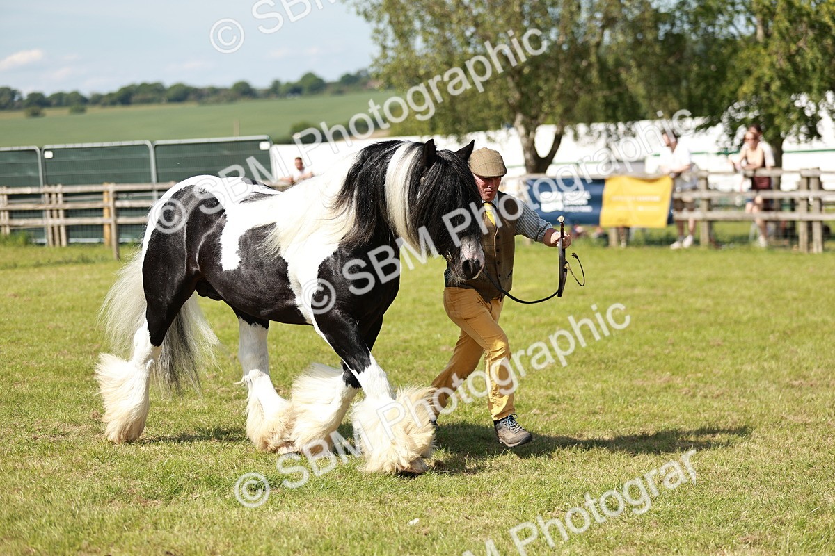SBM_08866 - Class 63-65 - Traditional Gypsy Cobs In Hand & Ridden