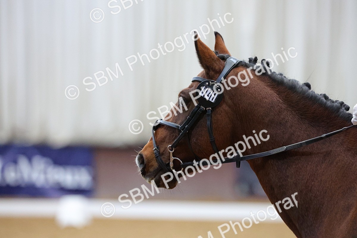 SBM_000171 - Class 2 - Intro 3 Championship - 8.51-9.47