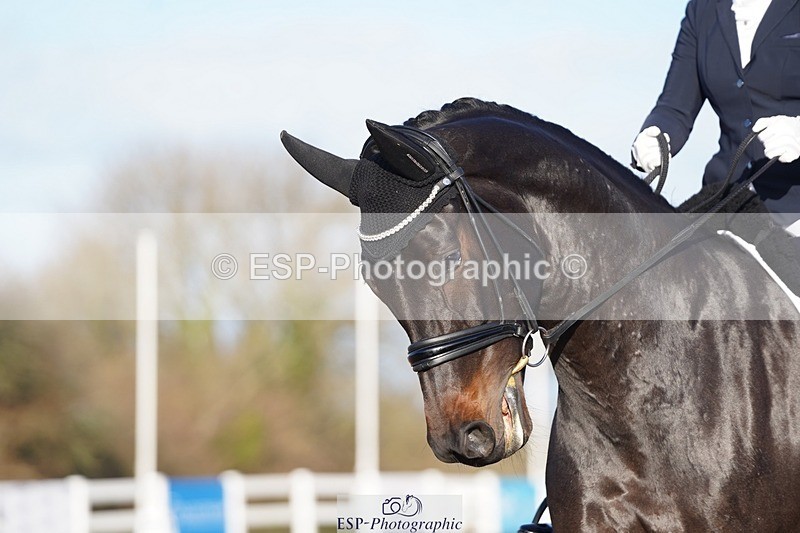 241214-115156-00383 - 159-Tamara.Egglestone-OLINDE