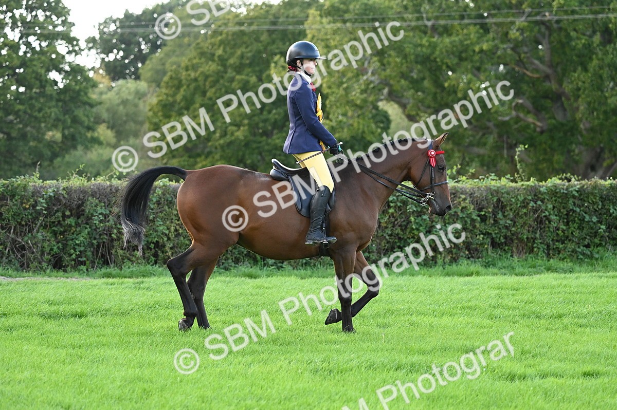 SBM_26526 - S6 - Novice & newcomer Ridden horse