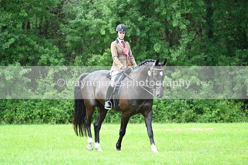 WJ7_1619 - Class 11 Condition & Turnout