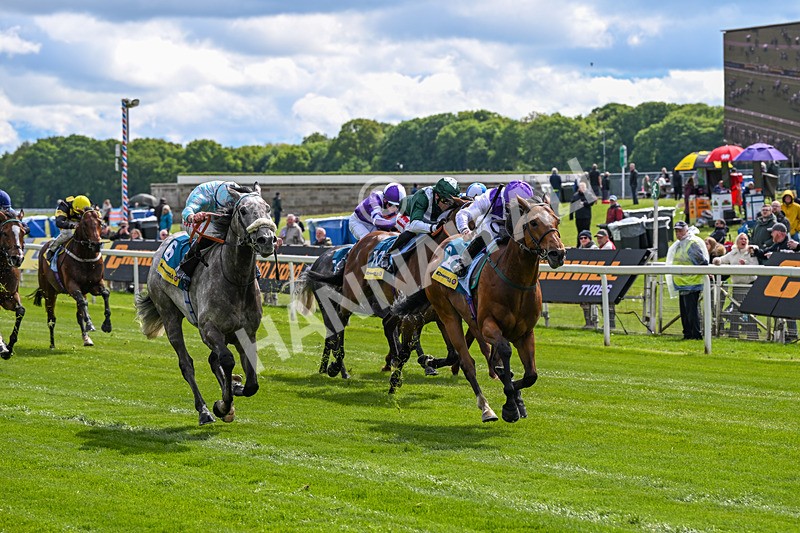 130526-Race 3-Dark Thirty-2789 - Race 3 2.55pm Churchill Tyres Handicap