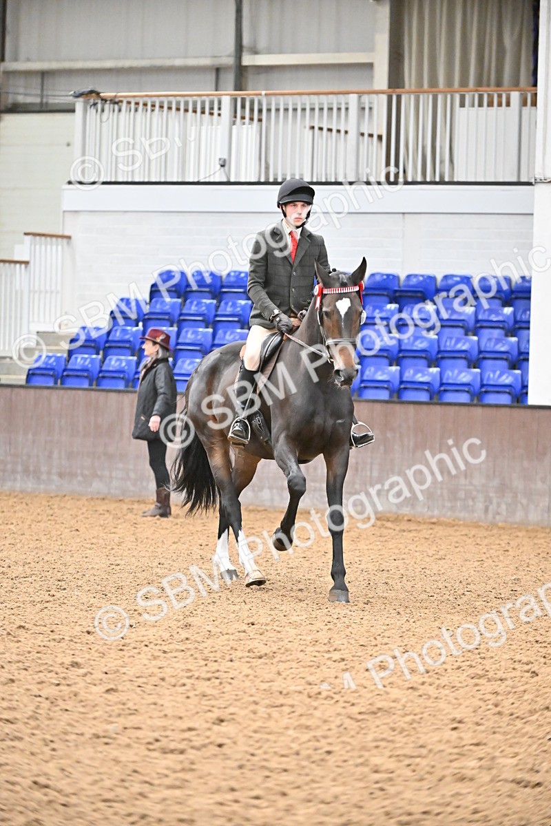 SBM_001463 - Class 19,20 - Ridden Native, Foreign Breeds & Warmbloods