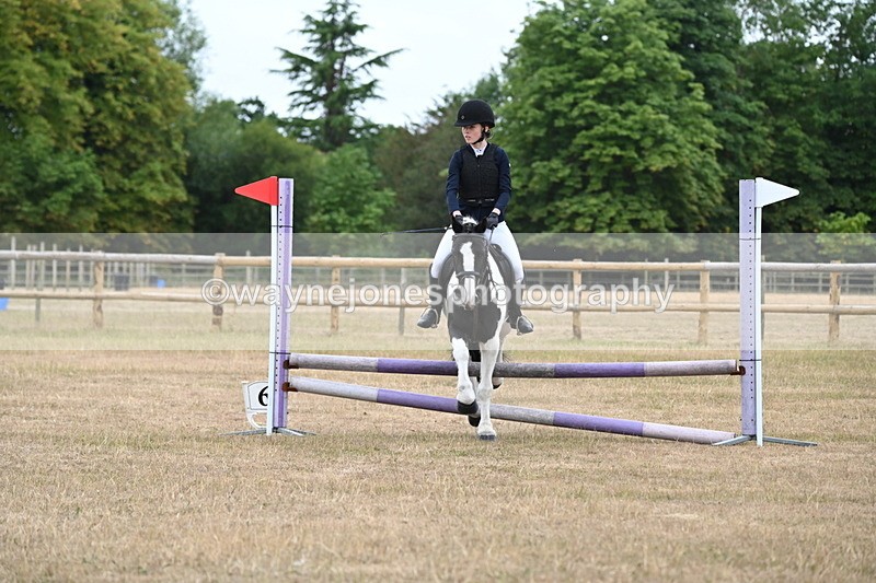 WJ6_0315 - Class 13 Novice Jumping 60cm