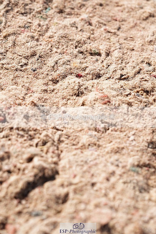 250510-085604-09656 - Cls 13 Snr Foxhunter