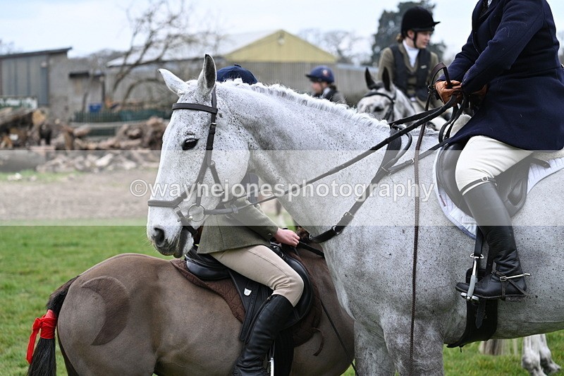 WJ7_7762 - Meet