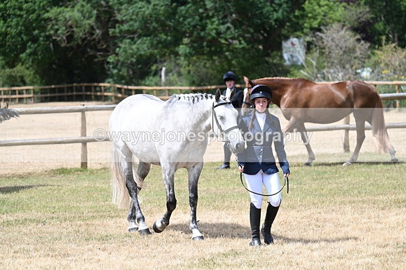 WJ7_1781 - Class 4a Prettiest Mare 14.2hh and over hand