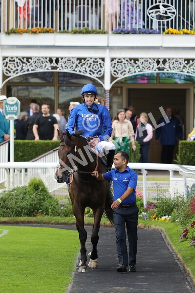 yr11062022r7-18 - Race 7 4.50pm The Ice Co Supporting Macmillan Stakes
