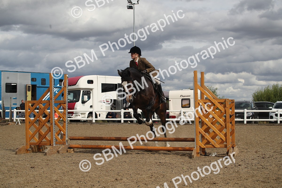 SBM_14503 - Class 505a - M&M Working Veteran - 50cm (15-19)