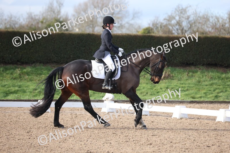 20260128-0403 - Class 4 - Novice 5