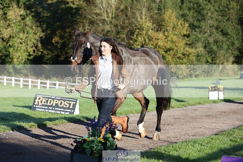 241027-084147-14749 - 377-Bethany.Hull-CARRICK.DIAMOND.OLIVER