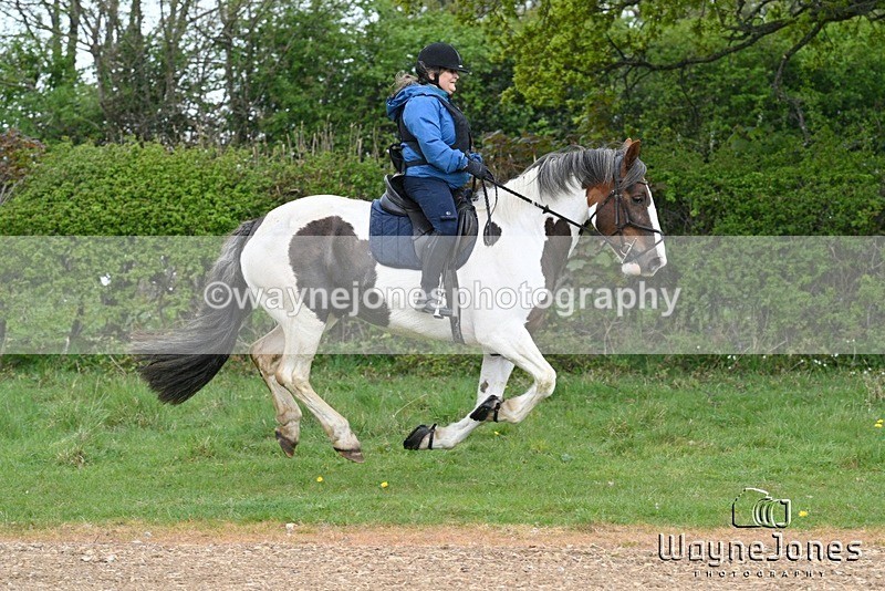 WJ7_3586 - Edited examples