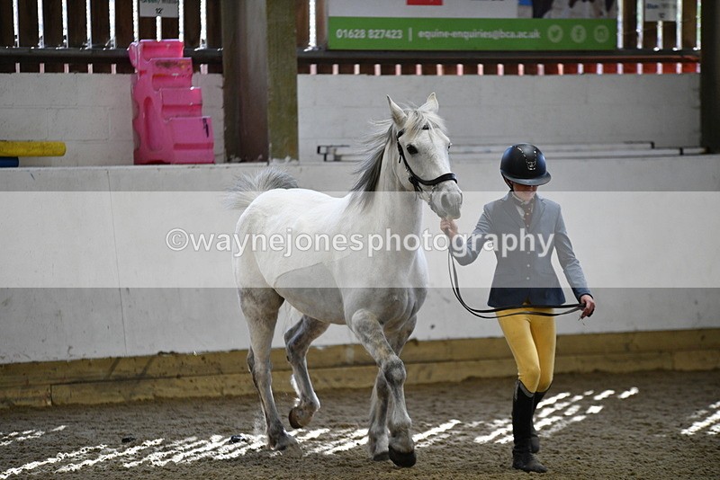 WJ5_4537 - Class 3 Part Bred In hand
